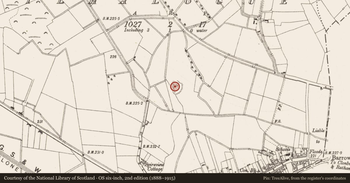 Ordnance Survey six-inch map, 2nd edition (1888–1915) covering the location of Ringfort - rath, Kilmalogue, County Offaly, with a pin at the register's coordinates