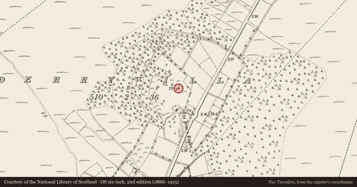 Ordnance Survey six-inch map, 2nd edition (1888–1915) covering the location of Burial ground, Derryvilla, County Offaly, with a pin at the register's coordinates