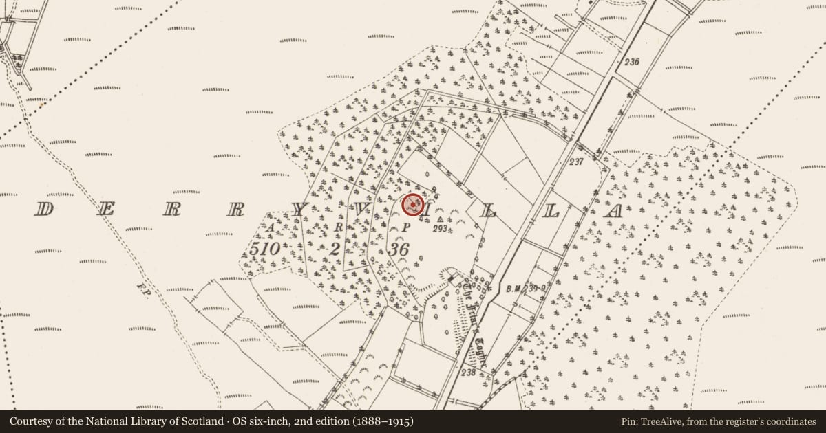 Ordnance Survey six-inch map, 2nd edition (1888–1915) covering the location of Enclosure, Derryvilla, County Offaly, with a pin at the register's coordinates