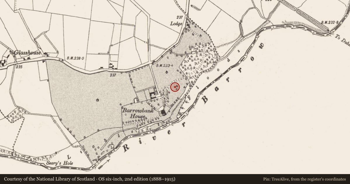 Ordnance Survey six-inch map, 2nd edition (1888–1915) covering the location of Glass works, Shanderry, County Offaly, with a pin at the register's coordinates
