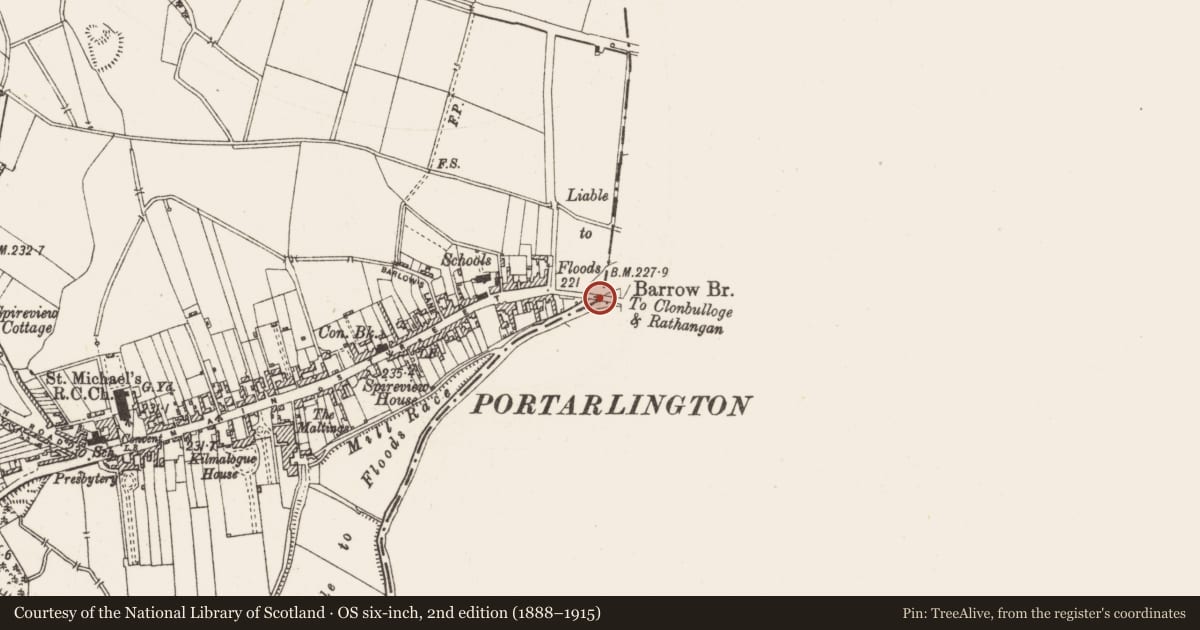 Ordnance Survey six-inch map, 2nd edition (1888–1915) covering the location of Bridge, Kilmalogue, County Offaly, with a pin at the register's coordinates