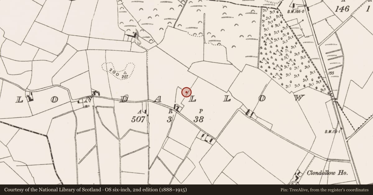 Ordnance Survey six-inch map, 2nd edition (1888–1915) covering the location of Ringfort - rath, Clondallow, County Offaly, with a pin at the register's coordinates