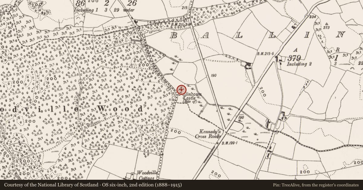 Ordnance Survey six-inch map, 2nd edition (1888–1915) covering the location of Castle - unclassified, Ballindown, County Offaly, with a pin at the register's coordinates