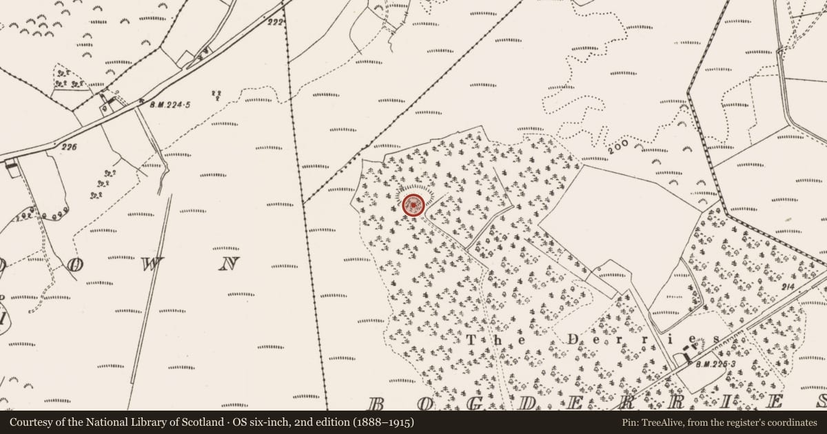 Ordnance Survey six-inch map, 2nd edition (1888–1915) covering the location of Enclosure, Bogderries, County Offaly, with a pin at the register's coordinates