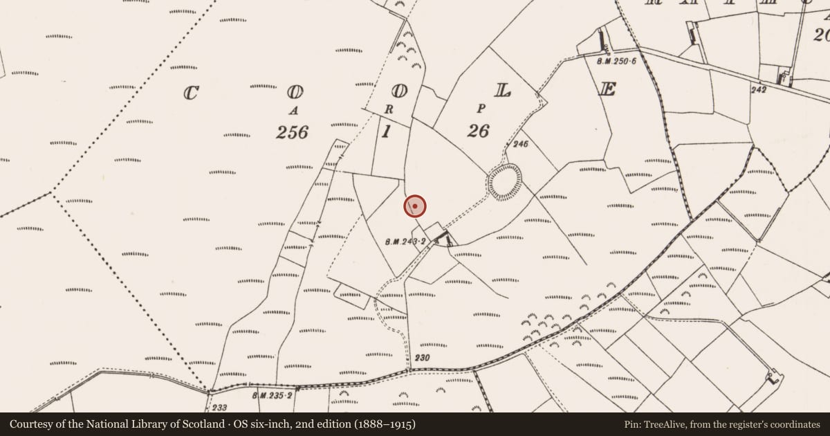 Ordnance Survey six-inch map, 2nd edition (1888–1915) covering the location of Enclosure, Coole, County Offaly, with a pin at the register's coordinates