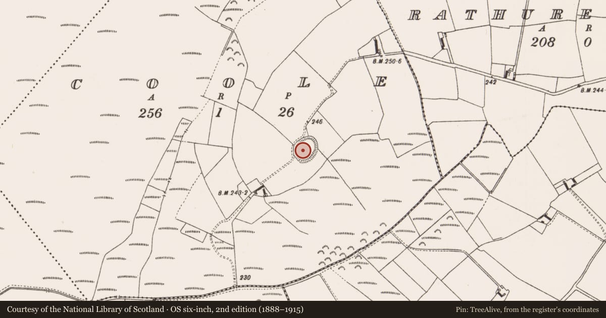 Ordnance Survey six-inch map, 2nd edition (1888–1915) covering the location of Ringfort - rath, Coole, County Offaly, with a pin at the register's coordinates