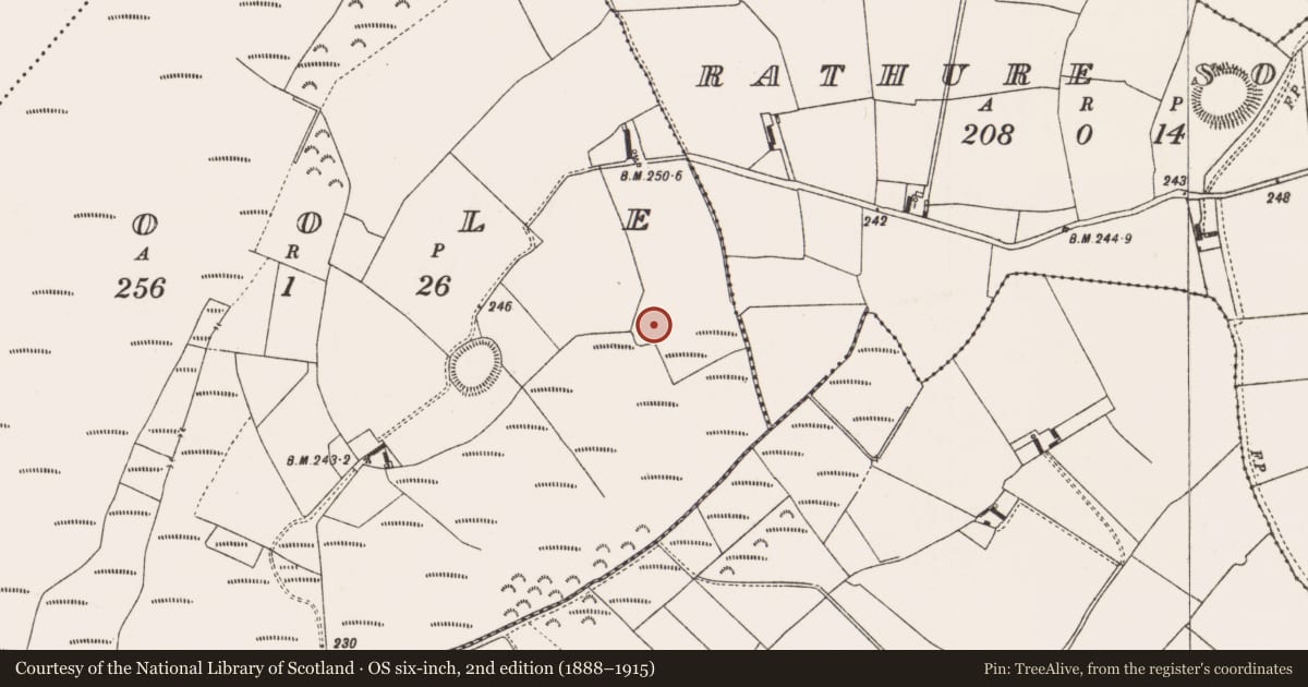 Ordnance Survey six-inch map, 2nd edition (1888–1915) covering the location of Enclosure, Coole, County Offaly, with a pin at the register's coordinates