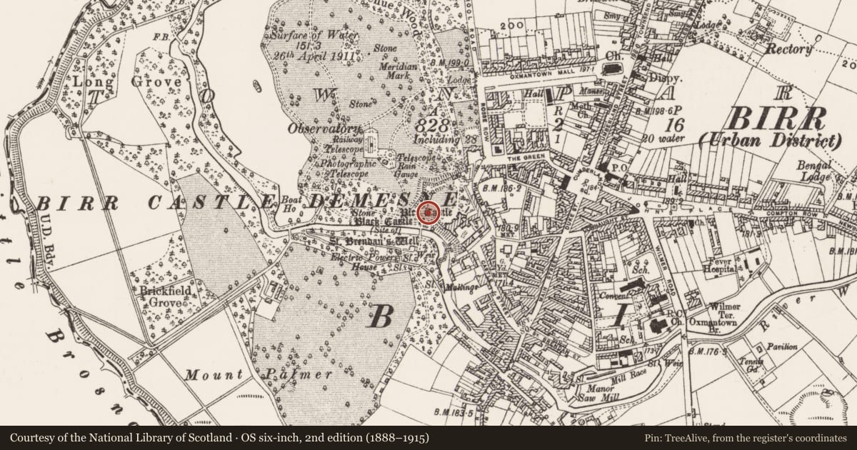 Ordnance Survey six-inch map, 2nd edition (1888–1915) covering the location of Castle - unclassified, Townparks, County Offaly, with a pin at the register's coordinates