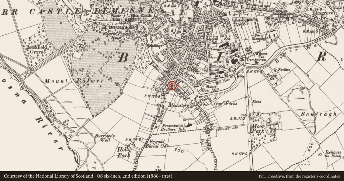 Ordnance Survey six-inch map, 2nd edition (1888–1915) covering the location of Prison, Townparks, County Offaly, with a pin at the register's coordinates