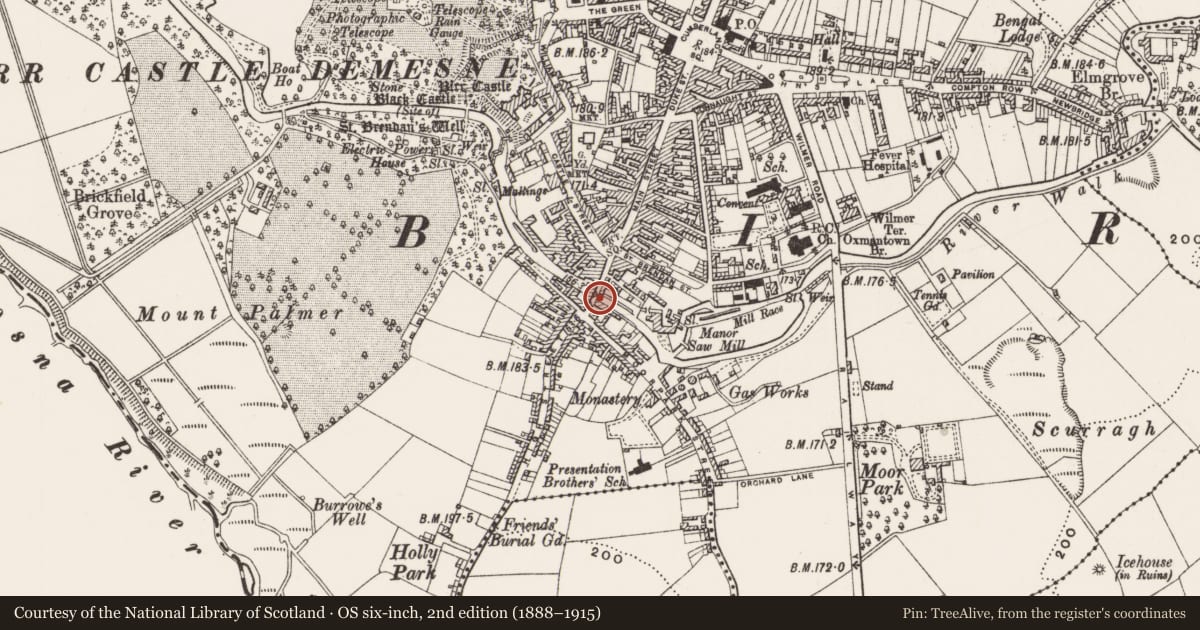 Ordnance Survey six-inch map, 2nd edition (1888–1915) covering the location of Bridge, Townparks, County Offaly, with a pin at the register's coordinates