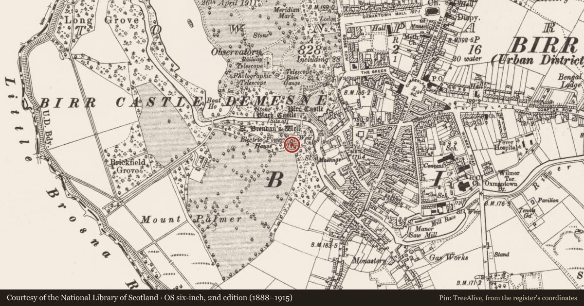 Ordnance Survey six-inch map, 2nd edition (1888–1915) covering the location of Mill - unclassified, Townparks, County Offaly, with a pin at the register's coordinates