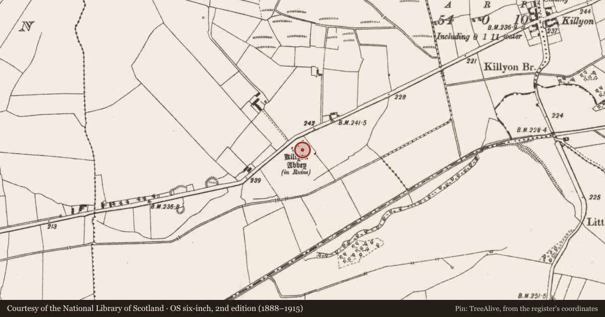 Ordnance Survey six-inch map, 2nd edition (1888–1915) covering the location of Bawn, Ballinree, County Offaly, with a pin at the register's coordinates