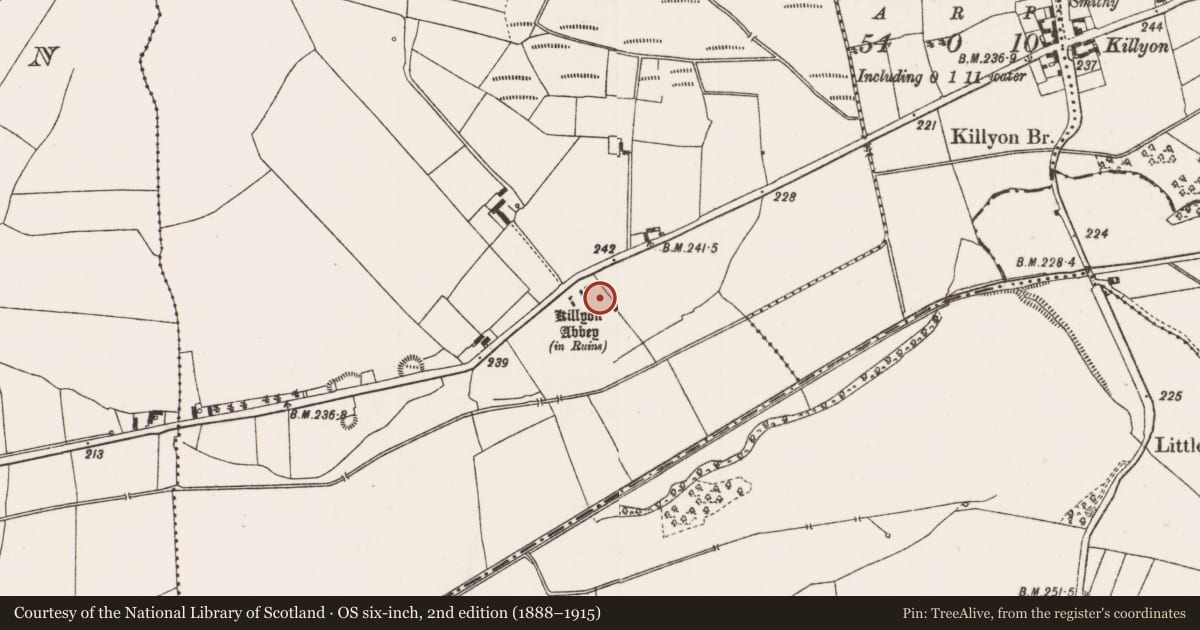 Ordnance Survey six-inch map, 2nd edition (1888–1915) covering the location of House - fortified house, Ballinree, County Offaly, with a pin at the register's coordinates