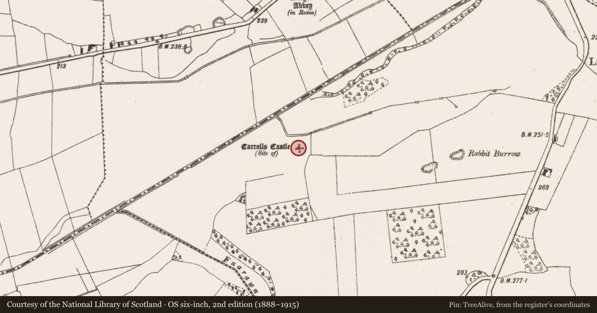 Ordnance Survey six-inch map, 2nd edition (1888–1915) covering the location of Castle - unclassified, Kilmaine, County Offaly, with a pin at the register's coordinates