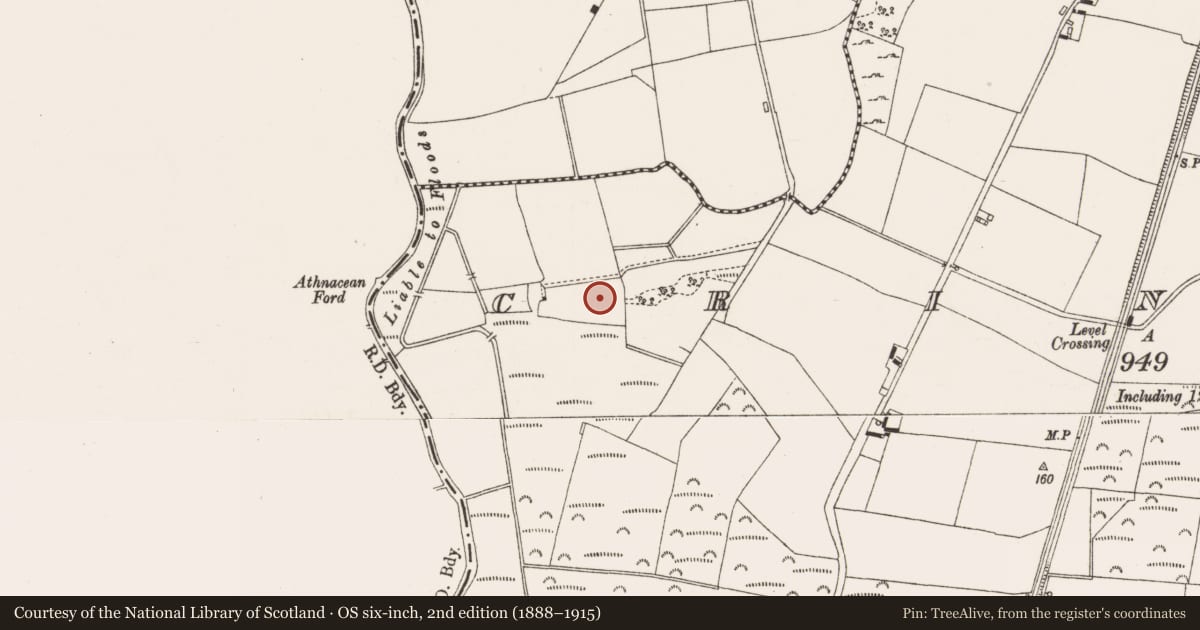 Ordnance Survey six-inch map, 2nd edition (1888–1915) covering the location of Enclosure, Crinkill, County Offaly, with a pin at the register's coordinates
