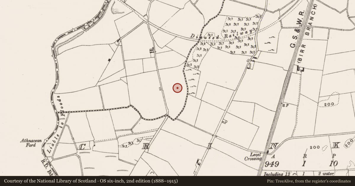 Ordnance Survey six-inch map, 2nd edition (1888–1915) covering the location of Enclosure, Ballindarra, County Offaly, with a pin at the register's coordinates