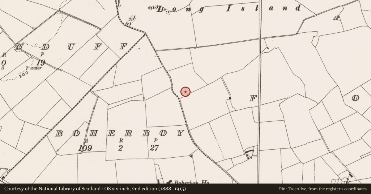 Ordnance Survey six-inch map, 2nd edition (1888–1915) covering the location of Enclosure, Boherboy, Fortel, County Offaly, with a pin at the register's coordinates