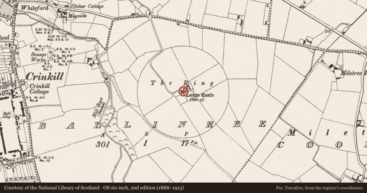 Ordnance Survey six-inch map, 2nd edition (1888–1915) covering the location of Castle - unclassified, Ballinree, County Offaly, with a pin at the register's coordinates