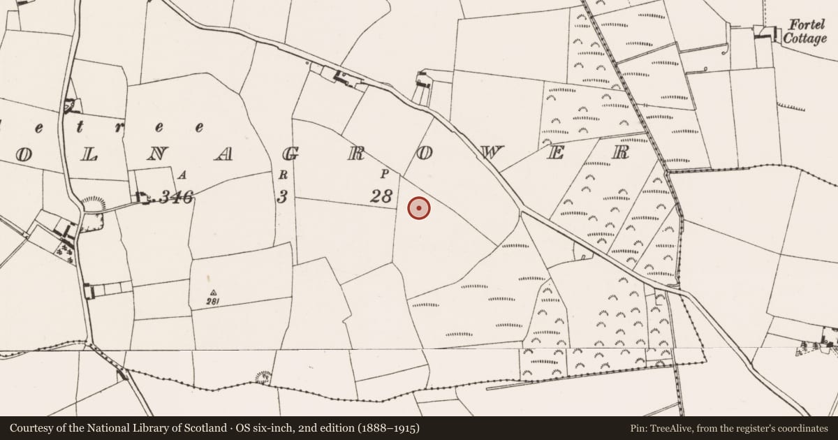 Ordnance Survey six-inch map, 2nd edition (1888–1915) covering the location of Enclosure, Coolnagrower, County Offaly, with a pin at the register's coordinates