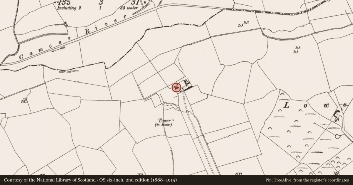 Ordnance Survey six-inch map, 2nd edition (1888–1915) covering the location of Castle - tower house, Fortel, County Offaly, with a pin at the register's coordinates