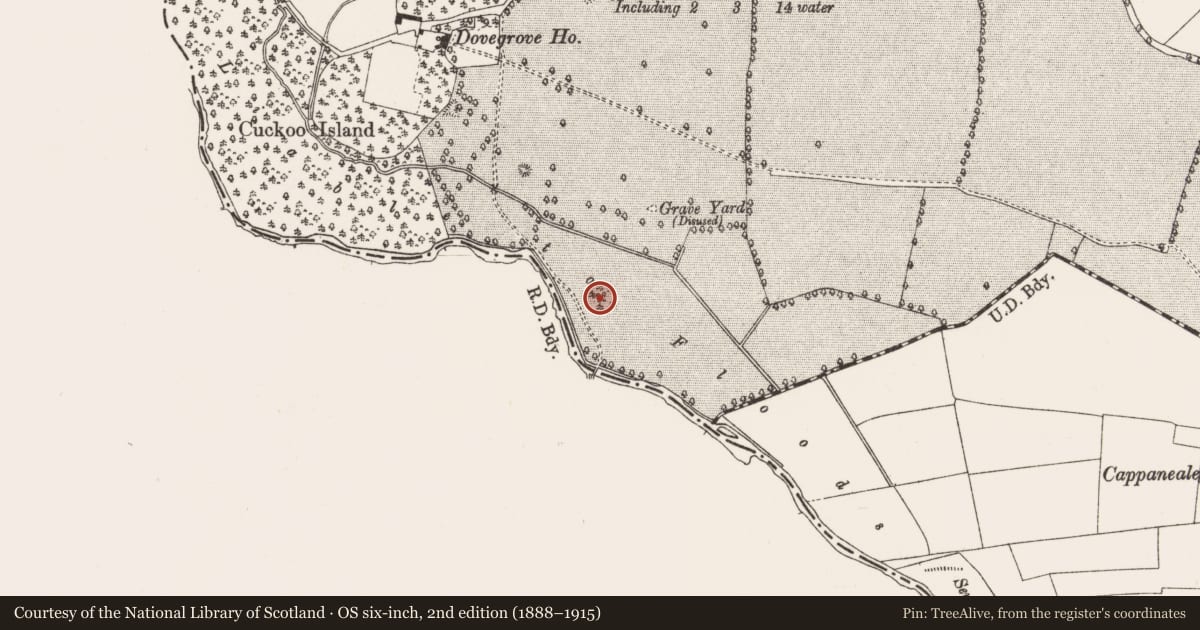 Ordnance Survey six-inch map, 2nd edition (1888–1915) covering the location of Burial mound, Dovegrove, County Offaly, with a pin at the register's coordinates