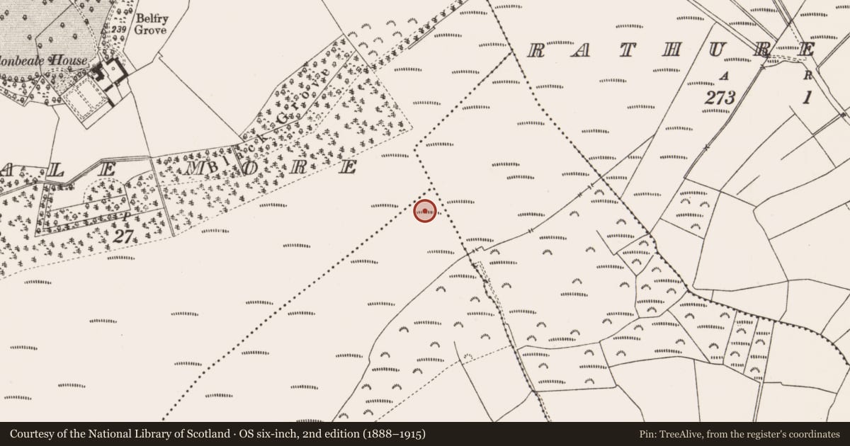 Ordnance Survey six-inch map, 2nd edition (1888–1915) covering the location of Structure - peatland, Coole, County Offaly, with a pin at the register's coordinates