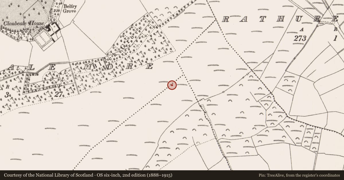 Ordnance Survey six-inch map, 2nd edition (1888–1915) covering the location of Structure - peatland, Coole, County Offaly, with a pin at the register's coordinates