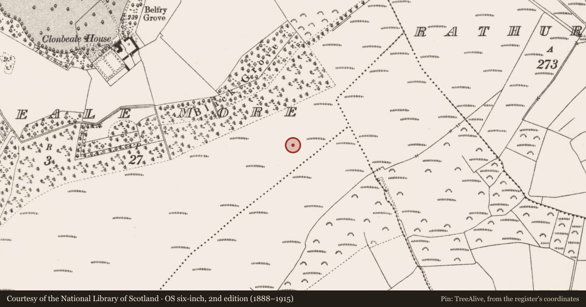Ordnance Survey six-inch map, 2nd edition (1888–1915) covering the location of Structure - peatland, Clonbeale More, County Offaly, with a pin at the register's coordinates