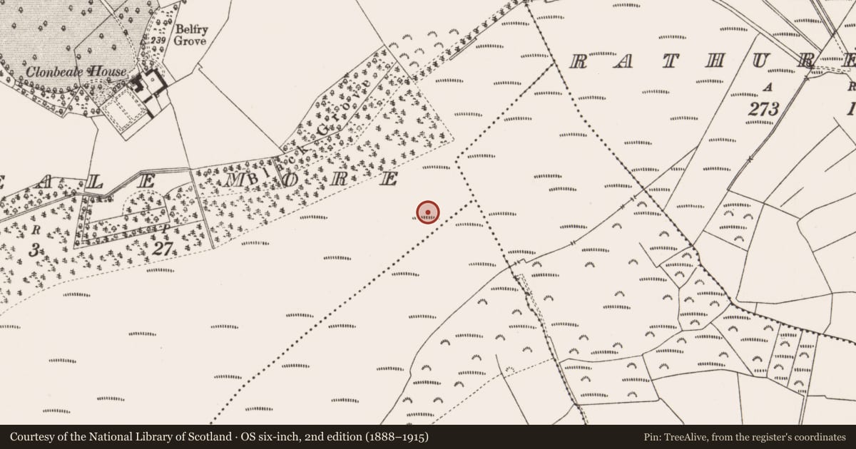 Ordnance Survey six-inch map, 2nd edition (1888–1915) covering the location of Structure - peatland, Clonbeale More, County Offaly, with a pin at the register's coordinates