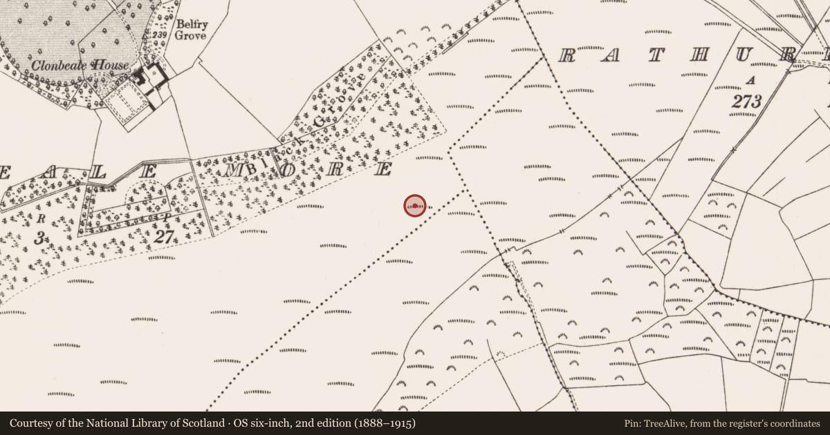 Ordnance Survey six-inch map, 2nd edition (1888–1915) covering the location of Structure - peatland, Clonbeale More, County Offaly, with a pin at the register's coordinates