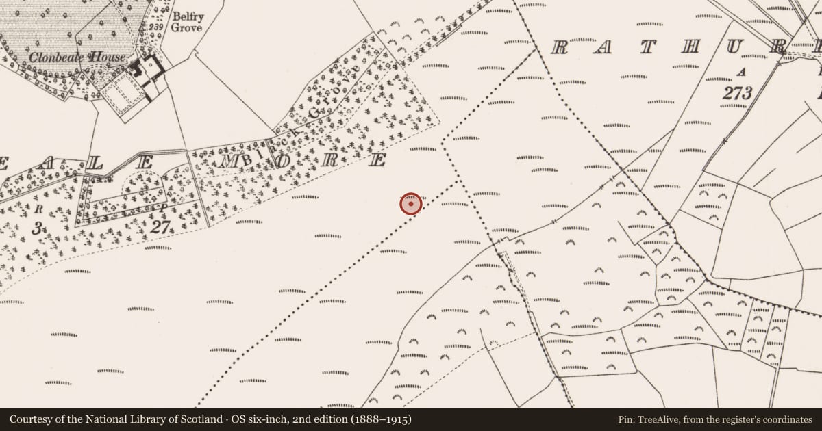 Ordnance Survey six-inch map, 2nd edition (1888–1915) covering the location of Structure - peatland, Clonbeale More, County Offaly, with a pin at the register's coordinates