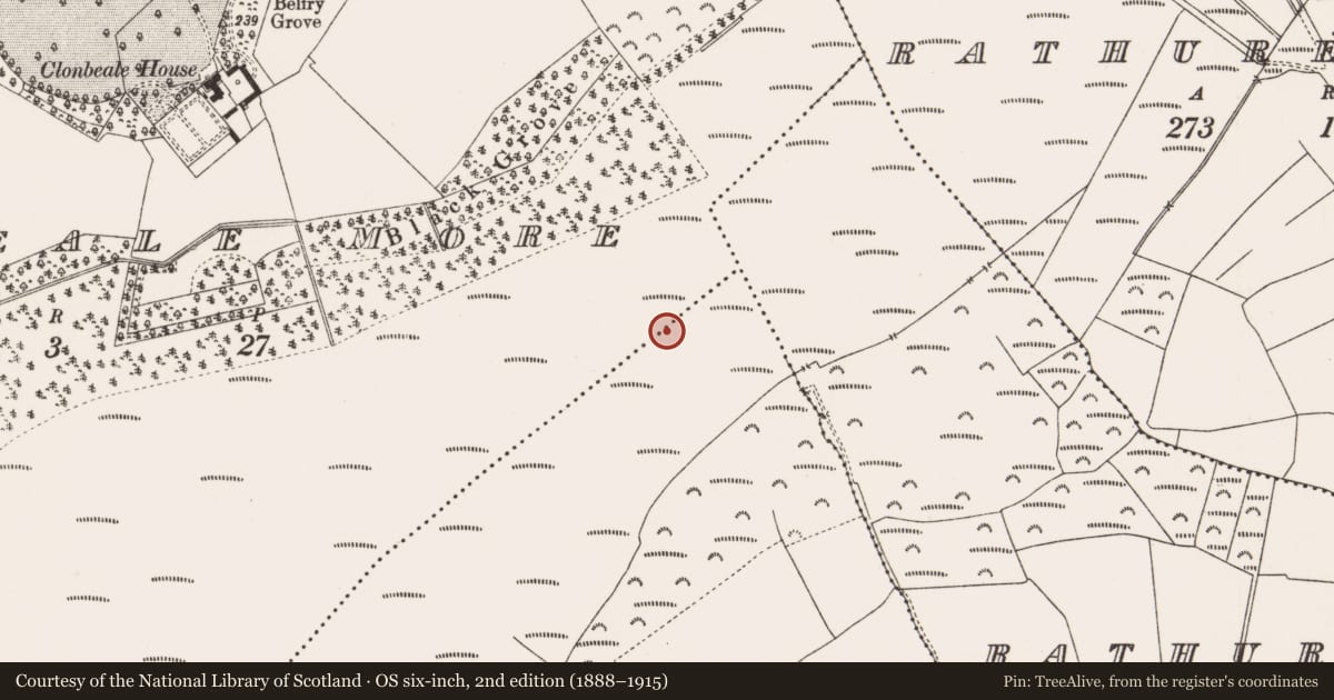 Ordnance Survey six-inch map, 2nd edition (1888–1915) covering the location of Structure - peatland, Clonbeale More, Coole, County Offaly, with a pin at the register's coordinates