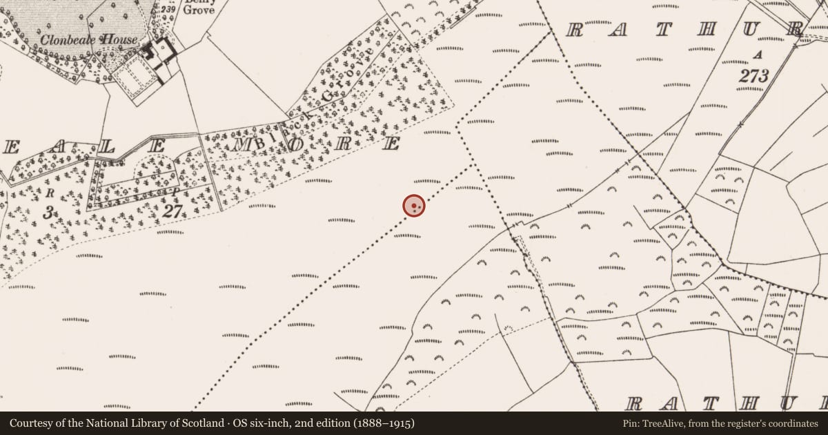 Ordnance Survey six-inch map, 2nd edition (1888–1915) covering the location of Structure - peatland, Clonbeale More, County Offaly, with a pin at the register's coordinates