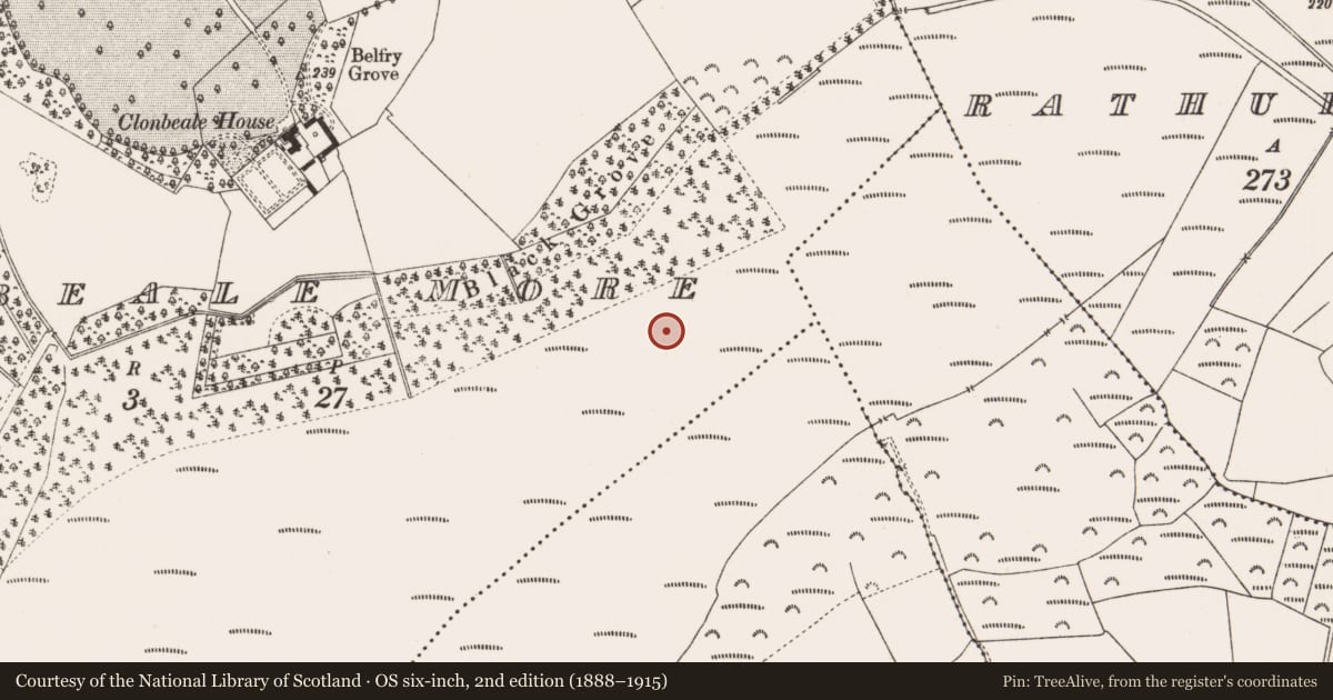 Ordnance Survey six-inch map, 2nd edition (1888–1915) covering the location of Road - class 1 togher, Clonbeale More, County Offaly, with a pin at the register's coordinates