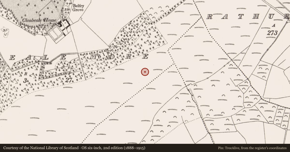 Ordnance Survey six-inch map, 2nd edition (1888–1915) covering the location of Structure - peatland, Clonbeale More, County Offaly, with a pin at the register's coordinates