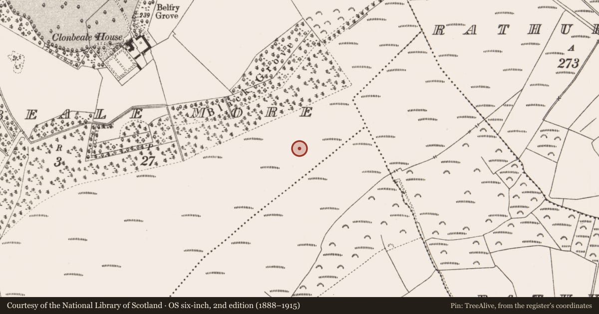 Ordnance Survey six-inch map, 2nd edition (1888–1915) covering the location of Structure - peatland, Clonbeale More, County Offaly, with a pin at the register's coordinates