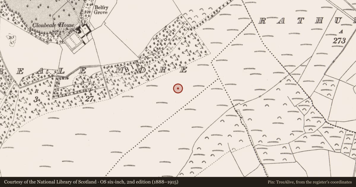 Ordnance Survey six-inch map, 2nd edition (1888–1915) covering the location of Structure - peatland, Clonbeale More, County Offaly, with a pin at the register's coordinates