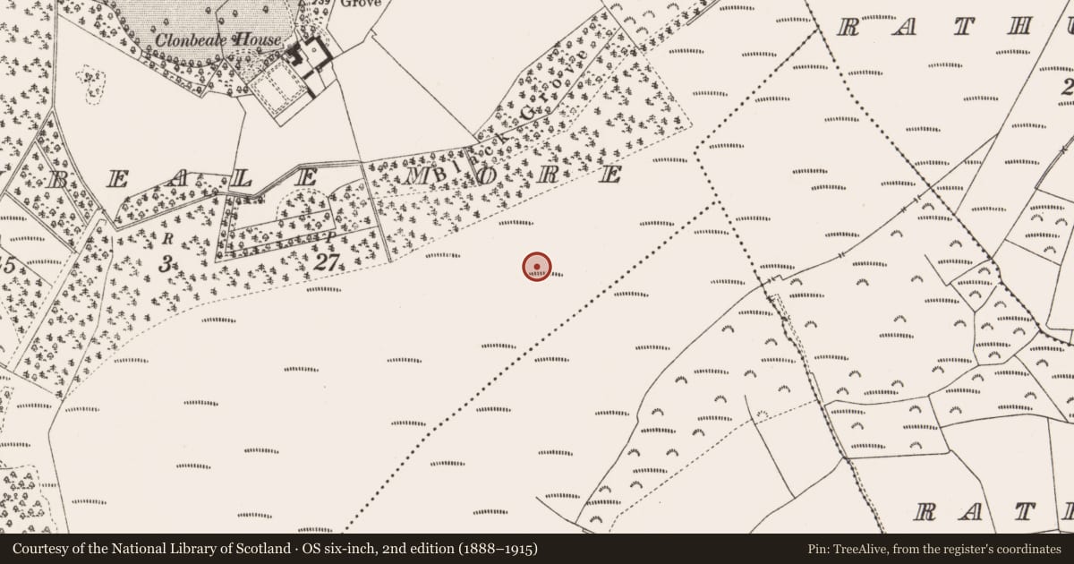 Ordnance Survey six-inch map, 2nd edition (1888–1915) covering the location of Structure - peatland, Clonbeale More, County Offaly, with a pin at the register's coordinates