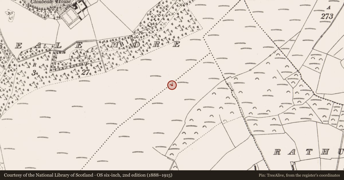 Ordnance Survey six-inch map, 2nd edition (1888–1915) covering the location of Structure - peatland, Clonbeale More, Coole, County Offaly, with a pin at the register's coordinates