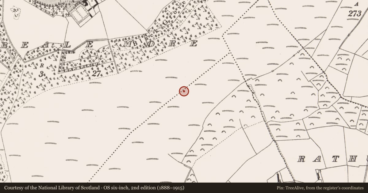 Ordnance Survey six-inch map, 2nd edition (1888–1915) covering the location of Structure - peatland, Clonbeale More, Coole, County Offaly, with a pin at the register's coordinates