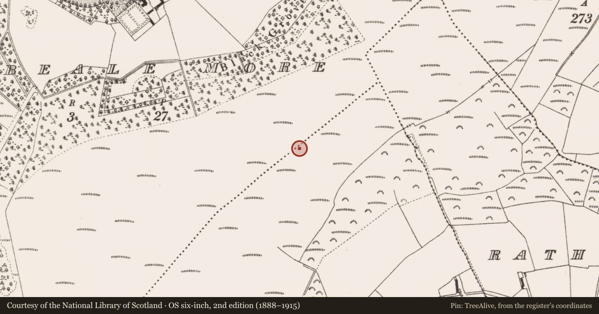 Ordnance Survey six-inch map, 2nd edition (1888–1915) covering the location of Structure - peatland, Clonbeale More, Coole, County Offaly, with a pin at the register's coordinates