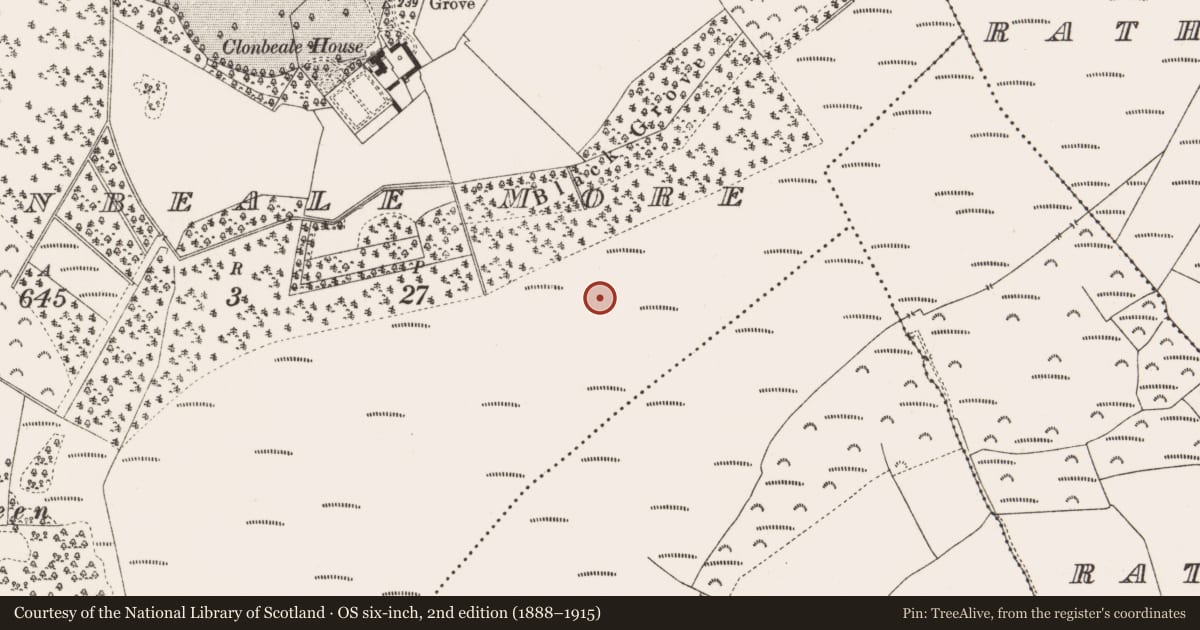 Ordnance Survey six-inch map, 2nd edition (1888–1915) covering the location of Structure - peatland, Clonbeale More, County Offaly, with a pin at the register's coordinates
