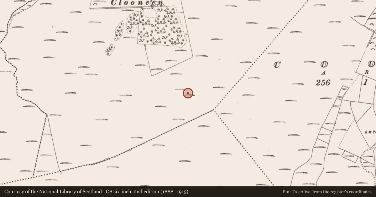 Ordnance Survey six-inch map, 2nd edition (1888–1915) covering the location of Road - class 1 togher, Clonbeale More, Killaun, County Offaly, with a pin at the register's coordinates