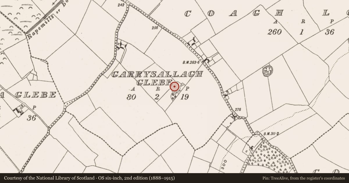 Ordnance Survey six-inch map, 2nd edition (1888–1915) covering the location of Enclosure, Garrysallagh Glebe, County Offaly, with a pin at the register's coordinates