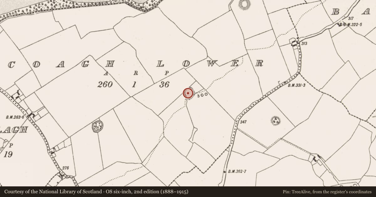 Ordnance Survey six-inch map, 2nd edition (1888–1915) covering the location of Enclosure, Coagh Lower, County Offaly, with a pin at the register's coordinates