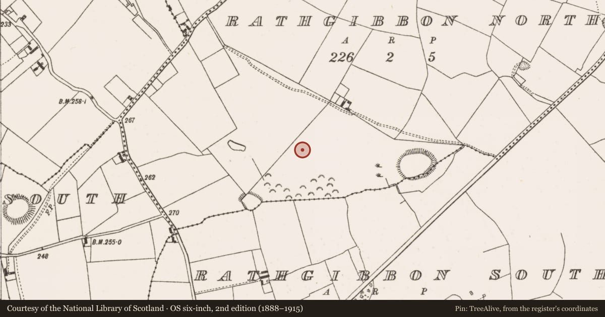 Ordnance Survey six-inch map, 2nd edition (1888–1915) covering the location of Enclosure, Rathgibbon North, County Offaly, with a pin at the register's coordinates