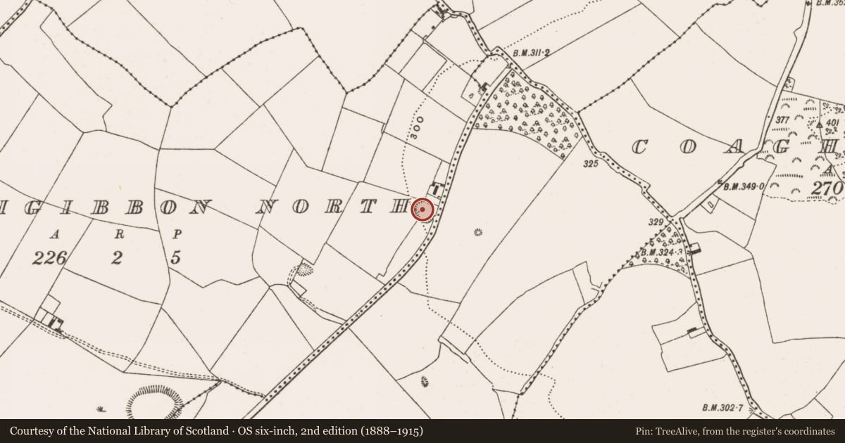 Ordnance Survey six-inch map, 2nd edition (1888–1915) covering the location of Enclosure, Rathgibbon North, County Offaly, with a pin at the register's coordinates