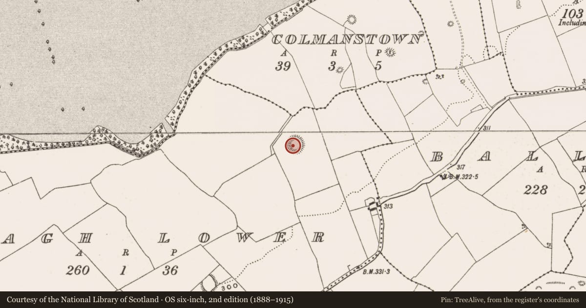 Ordnance Survey six-inch map, 2nd edition (1888–1915) covering the location of Ringfort - unclassified, Coagh Lower, County Offaly, with a pin at the register's coordinates