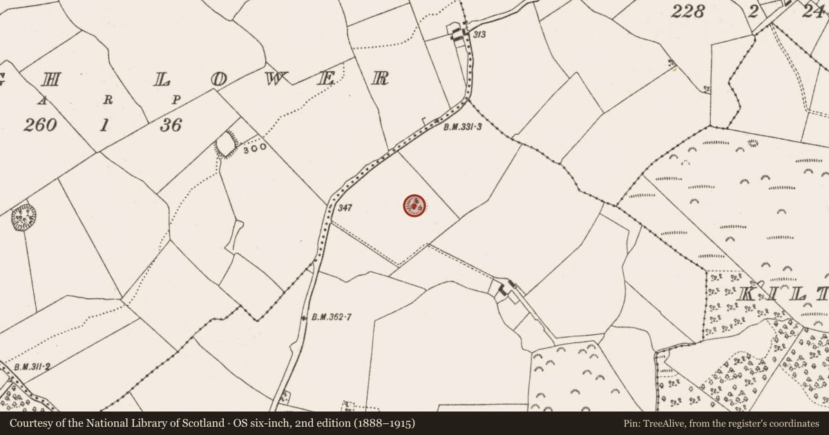 Ordnance Survey six-inch map, 2nd edition (1888–1915) covering the location of Enclosure, Coagh Upper, County Offaly, with a pin at the register's coordinates