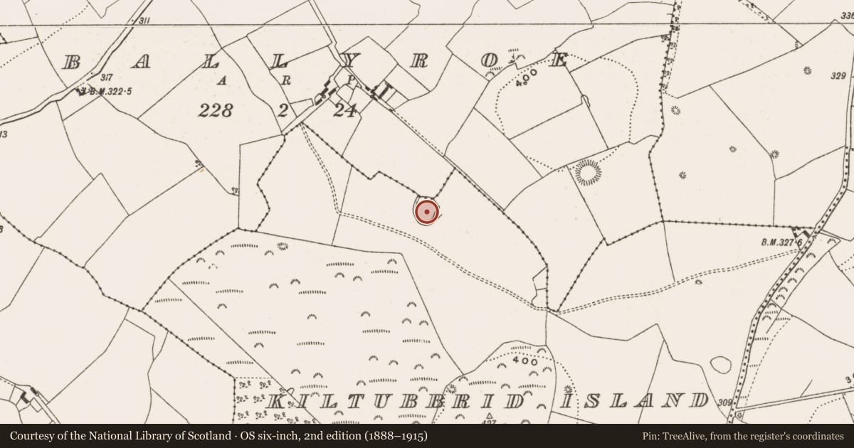 Ordnance Survey six-inch map, 2nd edition (1888–1915) covering the location of Enclosure, Kiltubbrid Island, County Offaly, with a pin at the register's coordinates